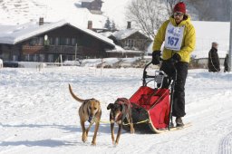 Lenk 2012 SM